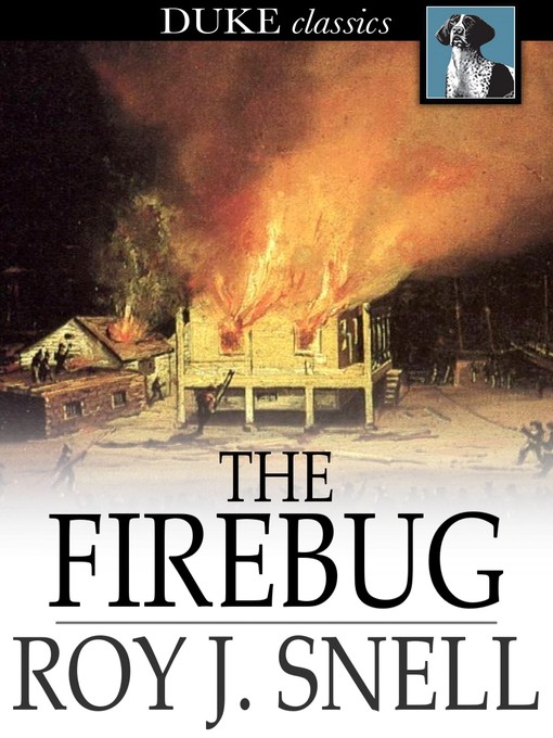 Title details for The Firebug by Roy J. Snell - Wait list